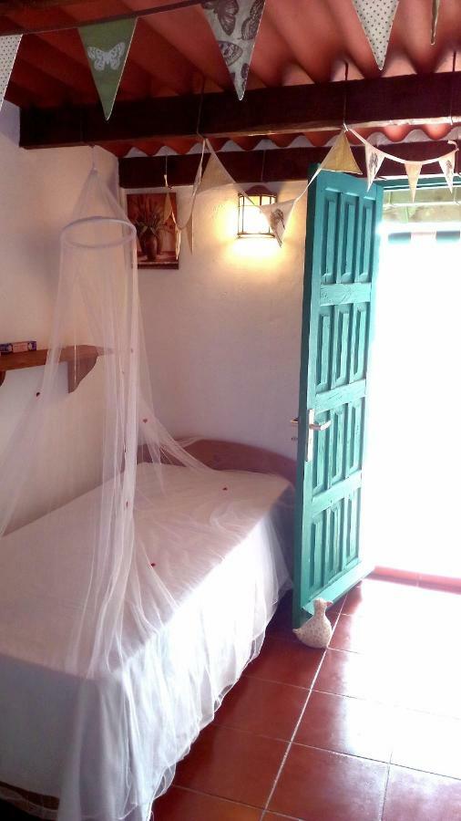 Casa Duermevela Rural Wifi 600 Mbps Energia Solar Daire Arona  Dış mekan fotoğraf